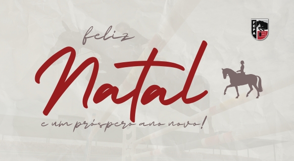 Feliz Natal e Festas de Fim de Ano